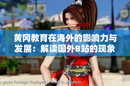 黄冈教育在海外的影响力与发展：解读国外B站的现象