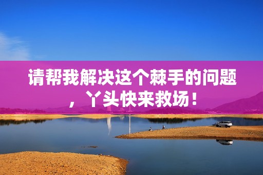 请帮我解决这个棘手的问题，丫头快来救场！