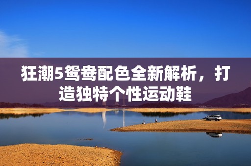 狂潮5鸳鸯配色全新解析，打造独特个性运动鞋