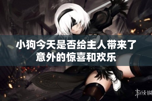 小狗今天是否给主人带来了意外的惊喜和欢乐