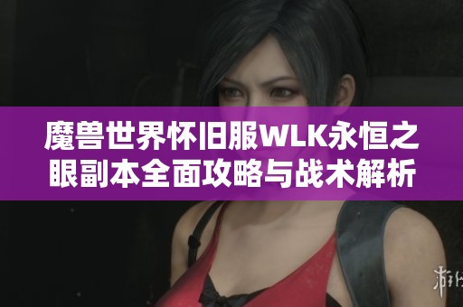 魔兽世界怀旧服WLK永恒之眼副本全面攻略与战术解析