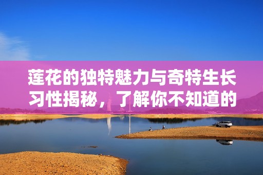莲花的独特魅力与奇特生长习性揭秘，了解你不知道的秘密