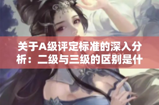 关于A级评定标准的深入分析：二级与三级的区别是什么