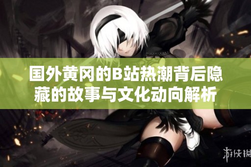 国外黄冈的B站热潮背后隐藏的故事与文化动向解析