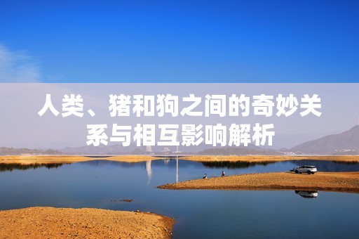 人类、猪和狗之间的奇妙关系与相互影响解析