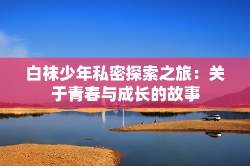 白袜少年私密探索之旅：关于青春与成长的故事