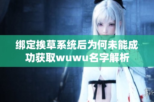 绑定挨草系统后为何未能成功获取wuwu名字解析