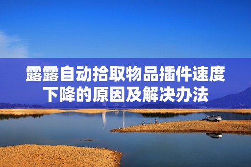 露露自动拾取物品插件速度下降的原因及解决办法