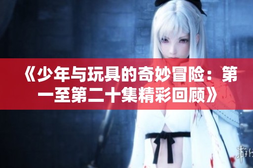 《少年与玩具的奇妙冒险：第一至第二十集精彩回顾》