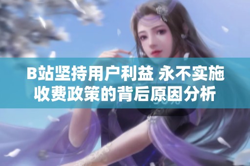 B站坚持用户利益 永不实施收费政策的背后原因分析