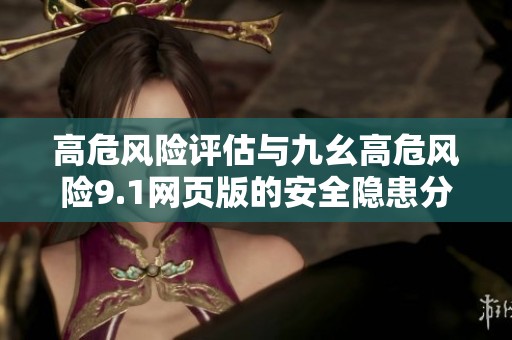 高危风险评估与九幺高危风险9.1网页版的安全隐患分析