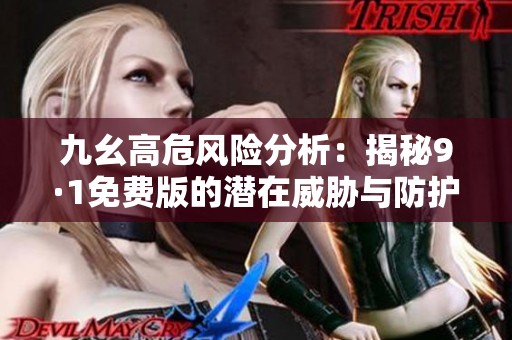 九幺高危风险分析：揭秘9·1免费版的潜在威胁与防护策略