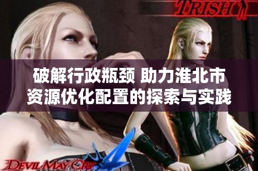 破解行政瓶颈 助力淮北市资源优化配置的探索与实践