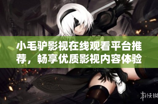 小毛驴影视在线观看平台推荐，畅享优质影视内容体验