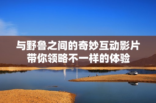 与野鲁之间的奇妙互动影片带你领略不一样的体验