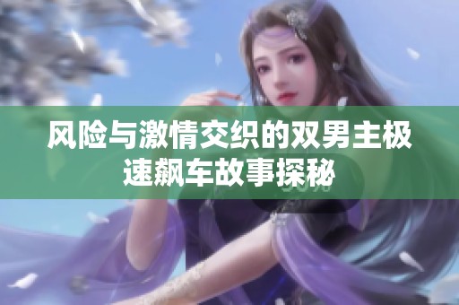 风险与激情交织的双男主极速飙车故事探秘