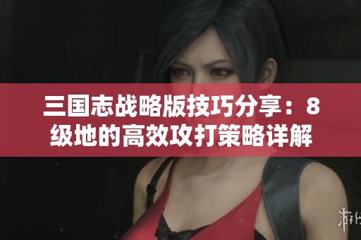 三国志战略版技巧分享：8级地的高效攻打策略详解