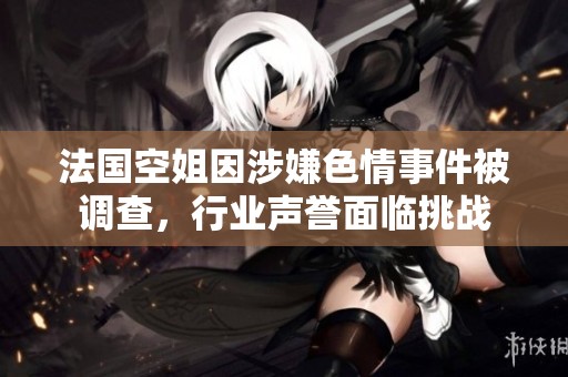 法国空姐因涉嫌色情事件被调查，行业声誉面临挑战