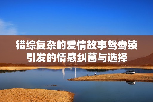 错综复杂的爱情故事鸳鸯锁引发的情感纠葛与选择