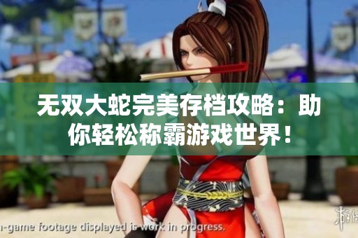 无双大蛇完美存档攻略：助你轻松称霸游戏世界！