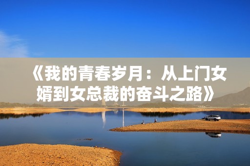 《我的青春岁月：从上门女婿到女总裁的奋斗之路》
