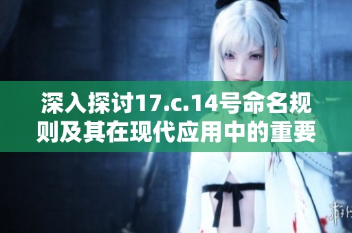 深入探讨17.c.14号命名规则及其在现代应用中的重要性与影响