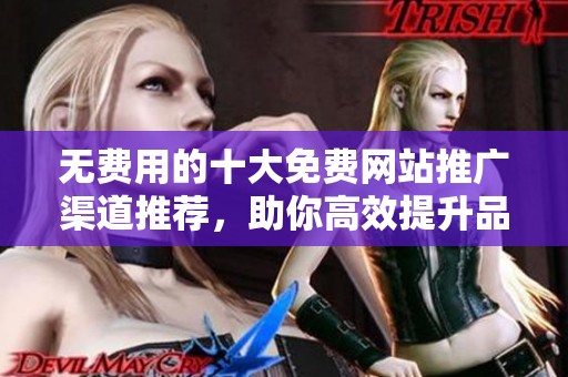 无费用的十大免费网站推广渠道推荐，助你高效提升品牌曝光率