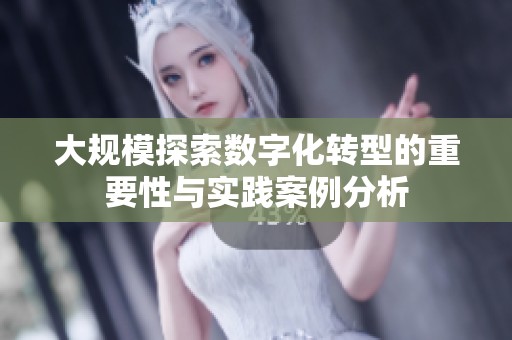 大规模探索数字化转型的重要性与实践案例分析