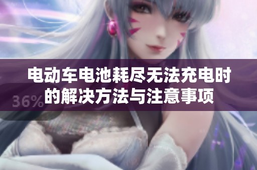 电动车电池耗尽无法充电时的解决方法与注意事项