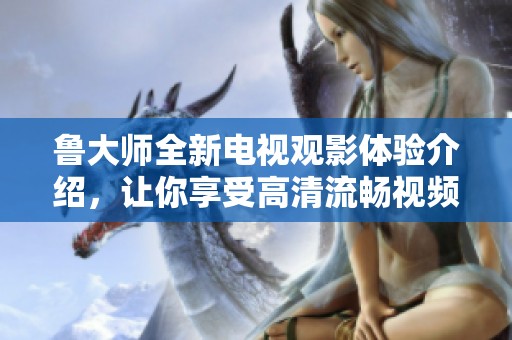 鲁大师全新电视观影体验介绍，让你享受高清流畅视频播放服务