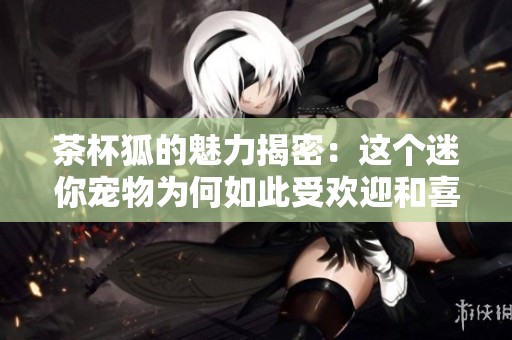 茶杯狐的魅力揭密：这个迷你宠物为何如此受欢迎和喜爱