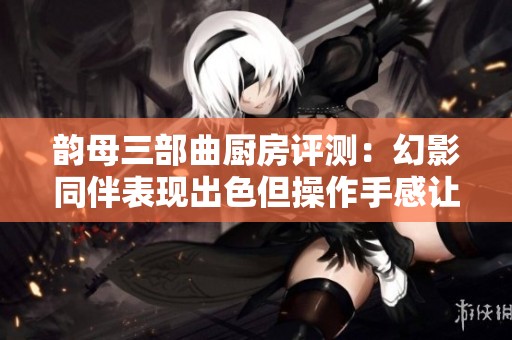 韵母三部曲厨房评测：幻影同伴表现出色但操作手感让人失望
