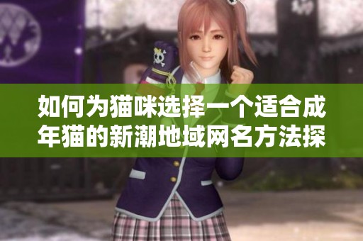 如何为猫咪选择一个适合成年猫的新潮地域网名方法探讨