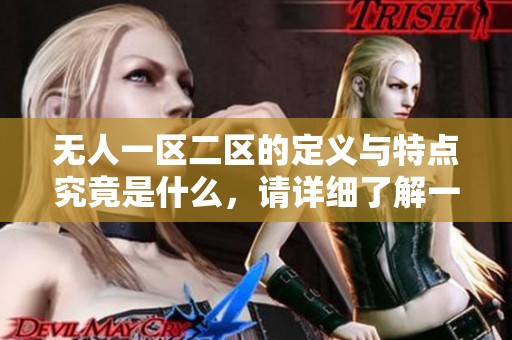 无人一区二区的定义与特点究竟是什么，请详细了解一下这方面的知识