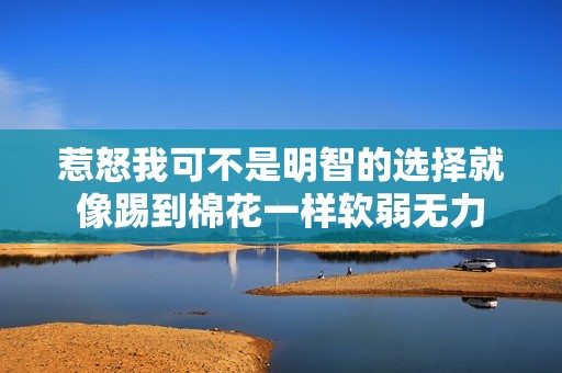 惹怒我可不是明智的选择就像踢到棉花一样软弱无力