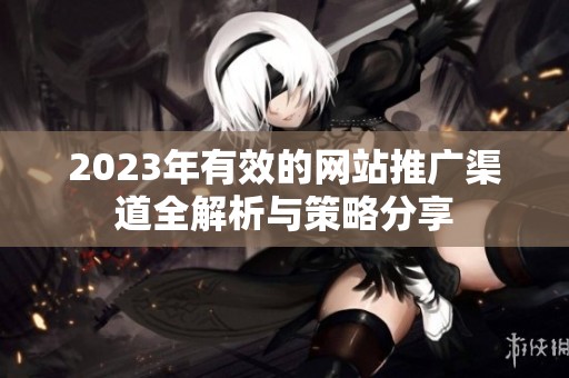2023年有效的网站推广渠道全解析与策略分享