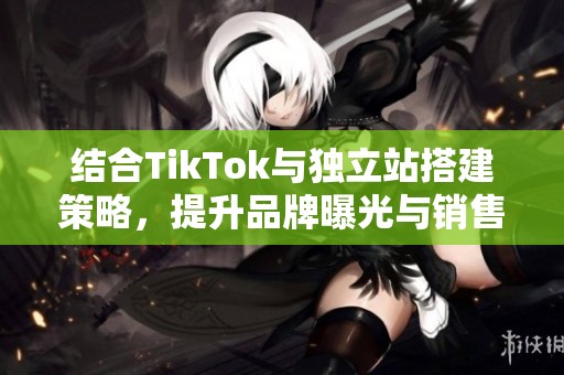 结合TikTok与独立站搭建策略，提升品牌曝光与销售转化