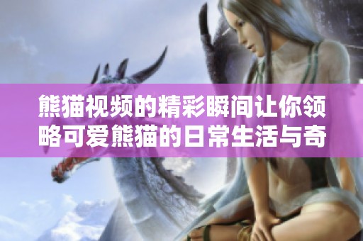 熊猫视频的精彩瞬间让你领略可爱熊猫的日常生活与奇趣互动