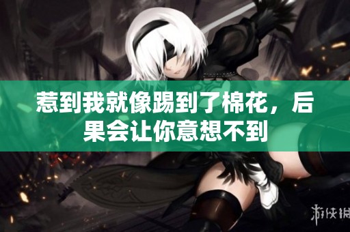 惹到我就像踢到了棉花，后果会让你意想不到