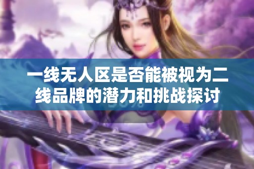 一线无人区是否能被视为二线品牌的潜力和挑战探讨