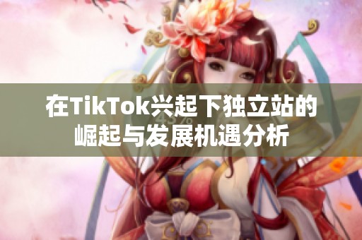 在TikTok兴起下独立站的崛起与发展机遇分析