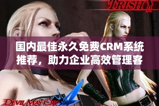 国内最佳永久免费CRM系统推荐，助力企业高效管理客户关系