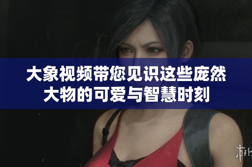 大象视频带您见识这些庞然大物的可爱与智慧时刻