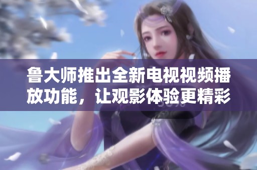 鲁大师推出全新电视视频播放功能，让观影体验更精彩