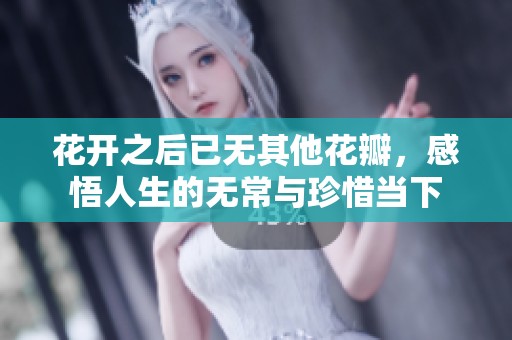 花开之后已无其他花瓣，感悟人生的无常与珍惜当下