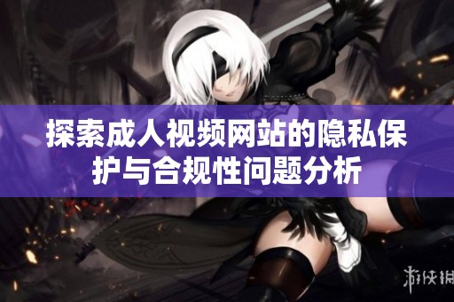 探索成人视频网站的隐私保护与合规性问题分析