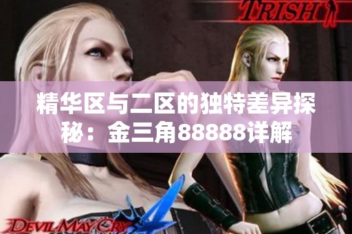 精华区与二区的独特差异探秘：金三角88888详解
