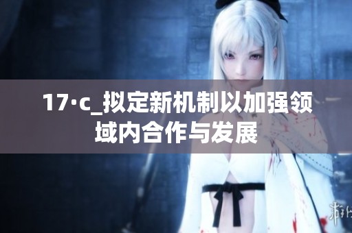 17·c_拟定新机制以加强领域内合作与发展