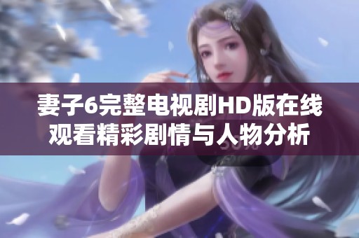 妻子6完整电视剧HD版在线观看精彩剧情与人物分析