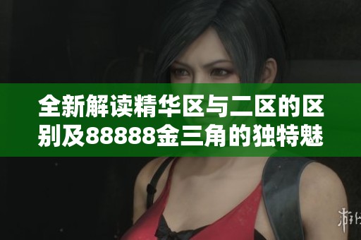 全新解读精华区与二区的区别及88888金三角的独特魅力